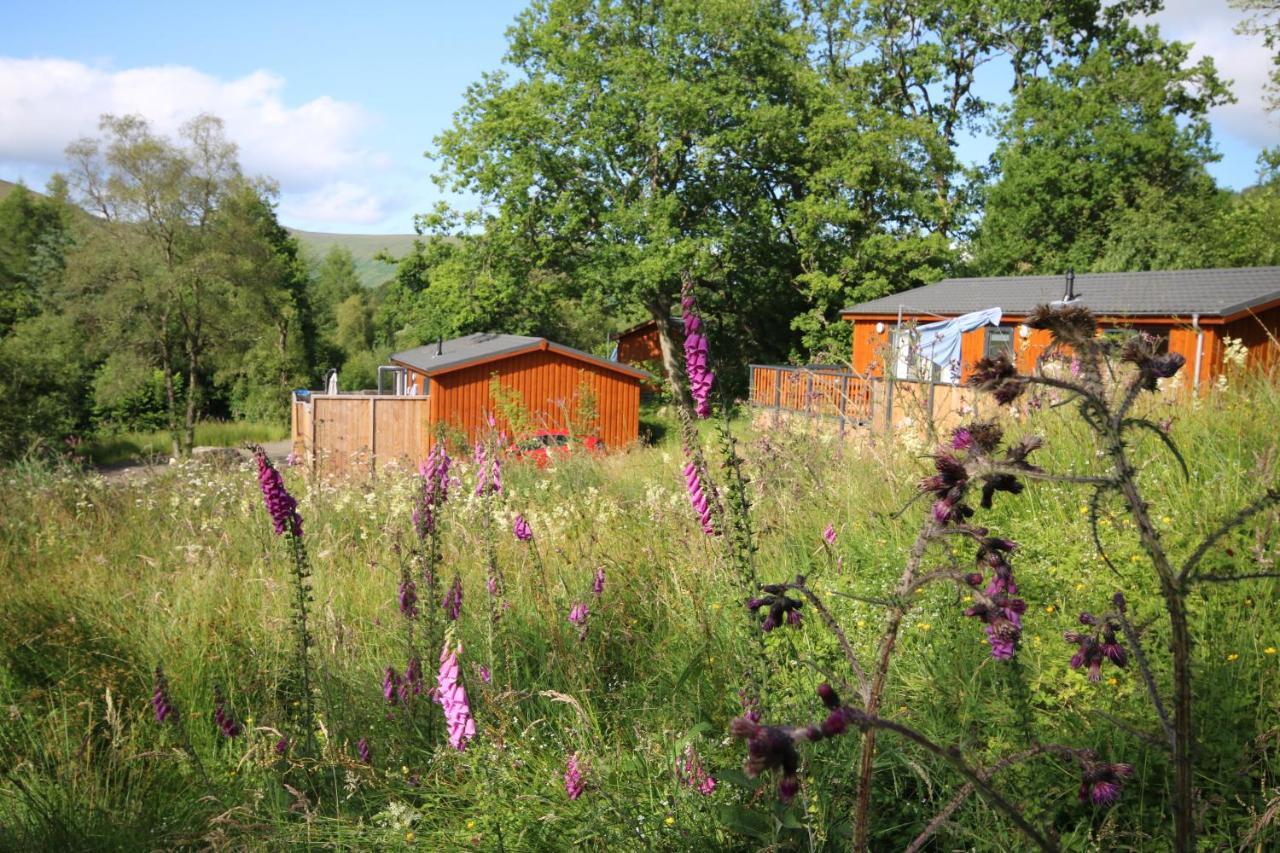 Balquhidder Braes Holiday Park Lodges, Mostly With Hot Tubs And Pet Friendly, Ev Facilities Локернгед Екстер'єр фото