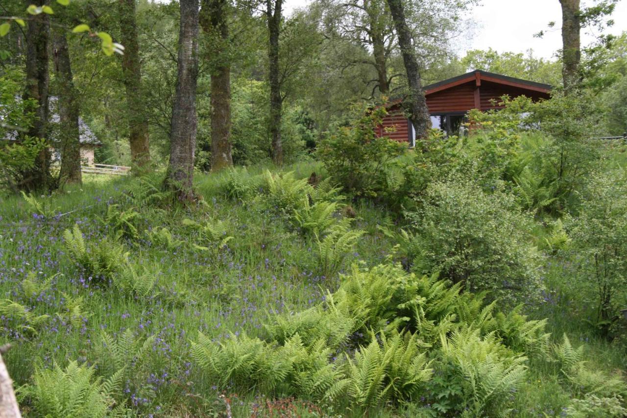 Balquhidder Braes Holiday Park Lodges, Mostly With Hot Tubs And Pet Friendly, Ev Facilities Локернгед Екстер'єр фото